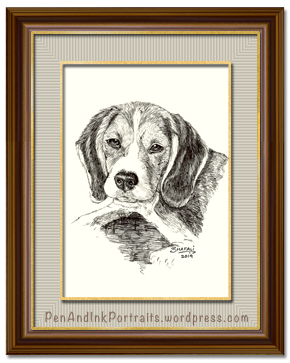 Portrait of Beagle done in pen and ink - Custom Portrait Commissions of Petsby Shafali - Animal drawings, Sketches, Wildlife art etc.